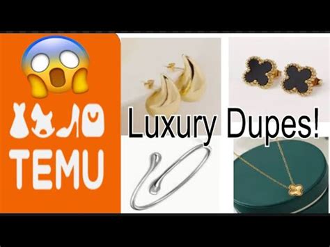 TEMU LUXURY DUPES: What I ordered vs what I got!